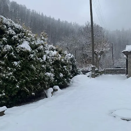 別荘 Andrea Am Bodetal