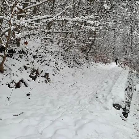 Andrea Am Bodetal * Treseburg