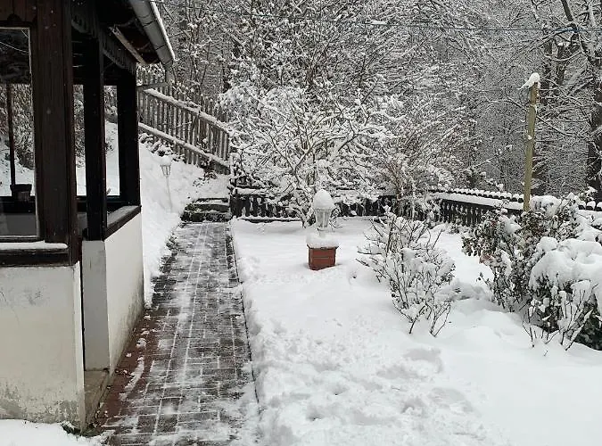 Andrea Am Bodetal Casa vacanze