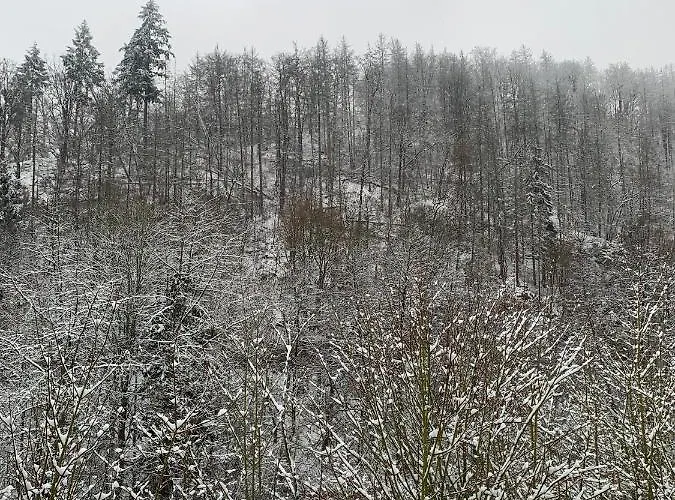 Andrea Am Bodetal * Treseburg