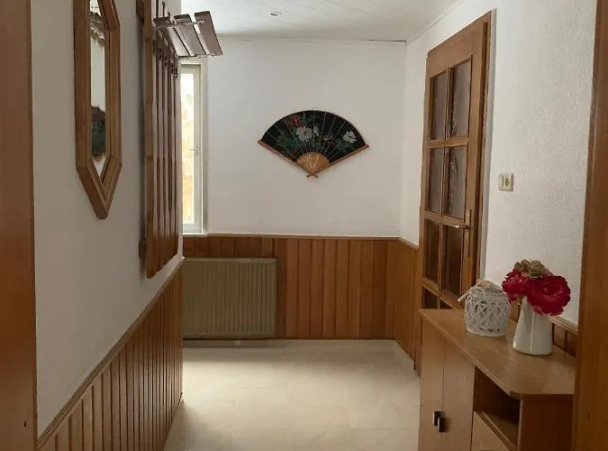 Andrea Am Bodetal Casa vacanze *