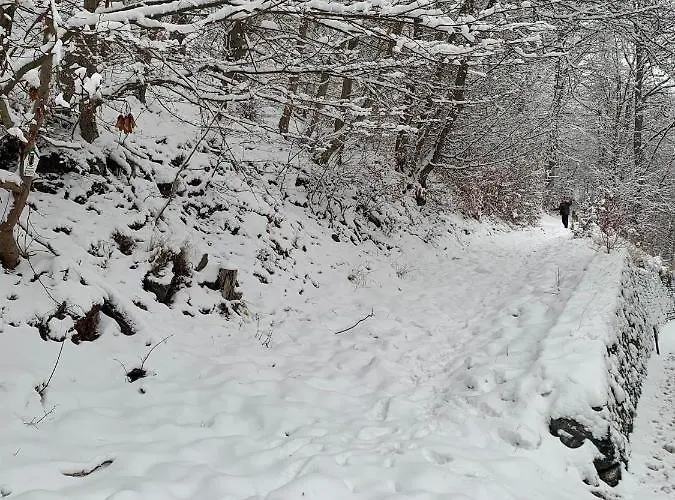 Andrea Am Bodetal * Treseburg